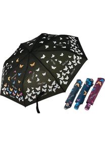 Adar, Regenschirm, Automatischer Farbwechselschirm MIX