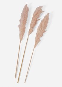 Pampasgras kunstplant (set van 3) - beige - maat 92 cm - bonprix