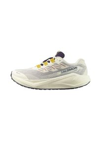 Salomon Aero Blaze 3 GRVL GTX Femme