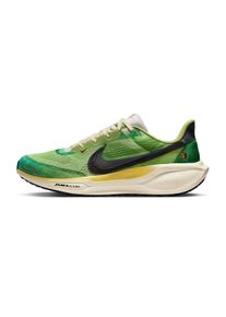Nike Pegasus 41 SE Homme