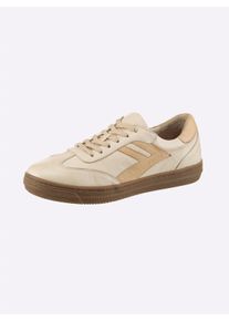 Andrea Conti Dames Sneaker in crème/camel ,maat 41, Witt, 100% Runderleer