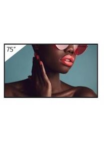 Monitor digital Signage de 70 a 85 pulgadas Sony 75 pro bravia lcd 700nit haze