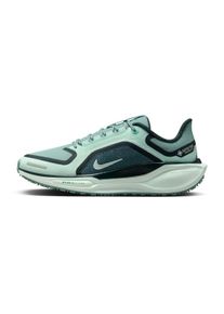 Nike Pegasus 41 GTX Damen