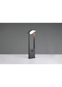 Trio lights Malawi outdoor floor lamp LED anthracite, 1-light source, Motion sensor