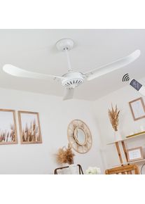 hofstein Ventilateur de plafond Virrik Blanc, Télécommandes