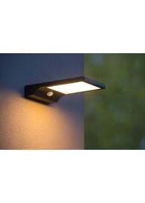 Applique murale d'extérieur Lucide BASIC LED Noir, 1 lumière, Détecteur de mouvement