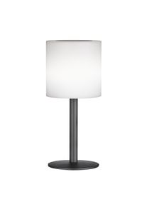 FHL easy Lesina Solarlamp LED Zwart, 1-licht, Afstandsbediening, Kleurwisselaar