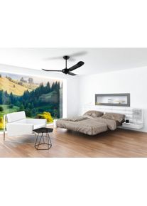 Ventilateur de plafond Eglo HOI AN Noir, Télécommandes