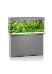 JUWEL Rio 240 LED Komplett Aquarium mit Unterschrank SBX grau