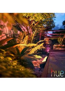 PHILIPS Hue Lampe de sol, LED, 8718696174425,