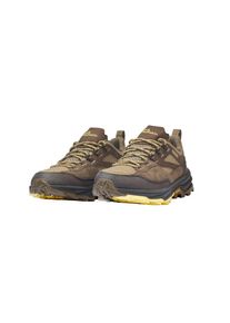 Jack Wolfskin , Wanderschuh »CYROX TEXAPORE LOW W«, Wasserdicht, Trekkingschuh , sand storm , 42 , 42 , Vielseitiger Wanderschuh von Jack Wolfskin...