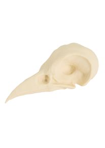 3D-printed crow skull for self-painting (7cm)
