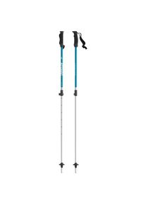 Atomic Kid's AMT Junior Telescopic Ski poles Kids (75-105 cm, blue/grey)