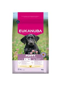 3kg eukanuba Premium Nutrition Puppy Large & Giant Breed nourriture sèche pour chiens au poulet