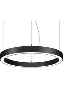 Brumberg, Pendelleuchte, 13632183 (6224 lm)