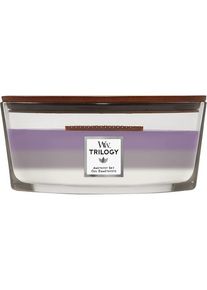 WoodWick Scented candles Amethyst Sky Female 454 g