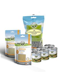Allergivennlig hundefor. Våtfor i et sparesett for små hunderaser fra Bellfor