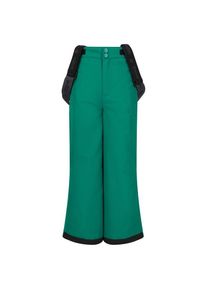 ZIG ZAG Kid's Soho Ski Pant W-Pro 10000 Ski trousers Kids (152/158 - 12 Years, green)