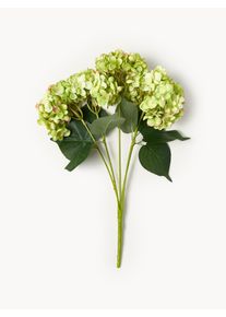Bloomingville Flor artificial Hortênsia Verde Material sintético, Fibra sintética C 49 cm