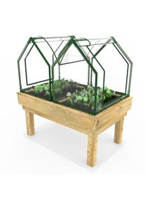 REBO Wooden Learn and Grow Planter Double with Greenhouse