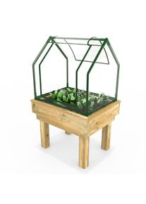 REBO Wooden Learn and Grow Single Planter with Greenhouse