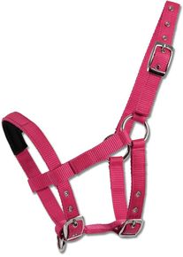 Waldhausen Mini-Shetty Halfter, azalee