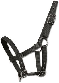 Waldhausen Mini-Shetty Halfter, schwarz