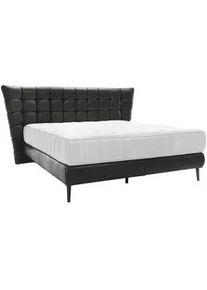 Esposa Boxspringbett , Schwarz , Textil , Echtleder , Rindleder , Kiefer,Birke , Sperrholz , H2 , 7-Zonen , Höhe ca. 25 cm , 180x200 cm , Made in EU, FSC Mix , gepolstertes Kopfteil, Stoffauswahl, Matratze in verschiedenen Härtegraden erhältlich, Lederauswahl, in verschiedenen Größen erhältlich, Partnermatratze mit durchgehendem Bezug , Schlafzimmer, Betten, Boxspringbetten
