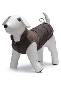 Beeztees Hundemantel Wisti (Hundemantel), Hundebekleidung