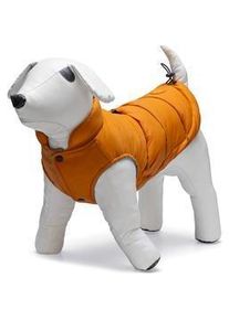 Beeztees Hundemantel Wisti, Hundebekleidung