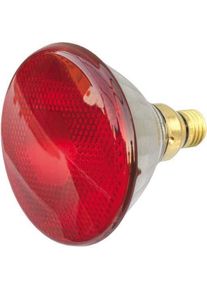 SCHARNBERGER+HASENBEIN, Infrarotlampe, Infrarot-W&auml;rmestrahler (100 W)