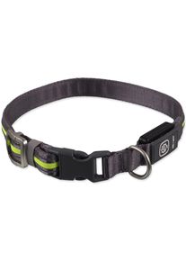 Obojok Dog Fantasy USB LED nylonový svietiaci M-L zelený 2,5x45-65cm