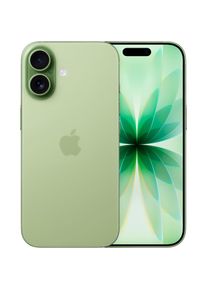 Apple , Smartphone »iPhone 17«, Salbei , Salbei , Erhältlich ab 19.09.2025