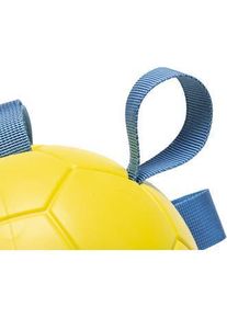 Beeztees Fetch Play Ball Power (Ballspielzeug Hund), Hundespielzeug