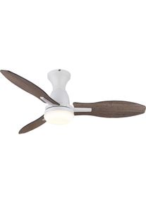 Globo Gale, Ventilator, Weiss