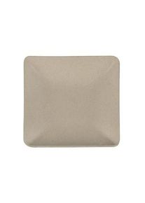 Papstar 50 petites assiettes amuse-gueules de canne à sucre naturel