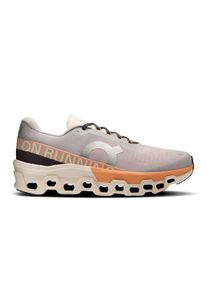 On Herren CloudmOnster 2 grau 47.0