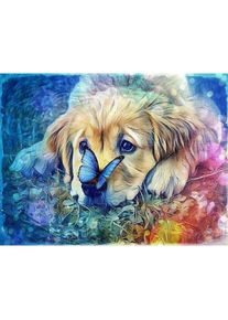 Norimpex Diamond Gemälde Hund mit Schmetterling 30x40cm