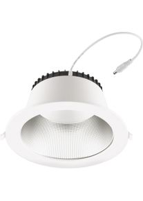 EVN Lichttechnik EVN, Wandleuchte + Deckenleuchte, LED-Downlight (4445 lm, E12)