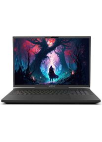 Captiva Ultimate Gaming I81-601 Core i9 RTX 4090 (17.30", 2000 GB, 32 GB, DE, Intel Core i9-14900HX), Notebook, Schwarz