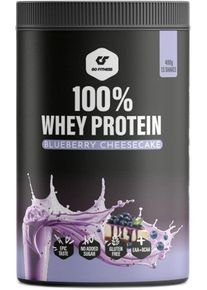 GoFitness Nutrition 100% Whey Protein, 400 g Dose, Blueberry Cheescake