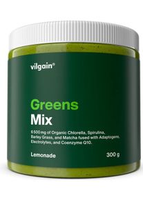 vilgain Greens Mix, 300 g Dose