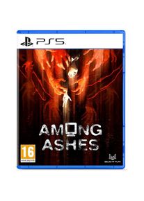 Selecta Spielzeug, Among Ashes