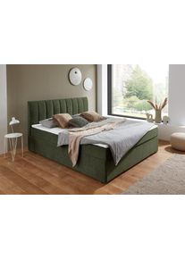 ATLANTIC HOME COLLECTION Boxbett »Alva in grün, Größe Liegefläche B/L: 120 cm x 200 cm