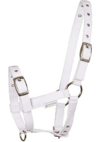 Waldhausen Triple Fohlenhalfter, weiß