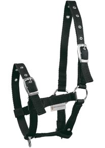 Waldhausen Triple Fohlenhalfter, schwarz