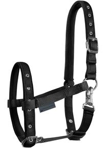 Waldhausen Comfort Fohlenhalfter, schwarz
