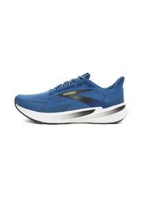Brooks Revel 8 Homme