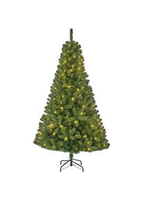 Black Box Trees, Weihnachtsbaum, 185 cm Outdoor Christmas Tree with Lights