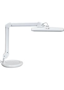 Maul LED-WERKPLAATSLAMP Maulintro, dimbaar, met standvoet, wit